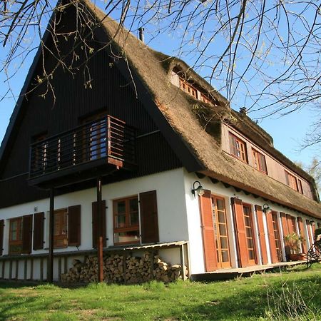 Willa Der Fuchsbau Meesiger Zewnętrze zdjęcie